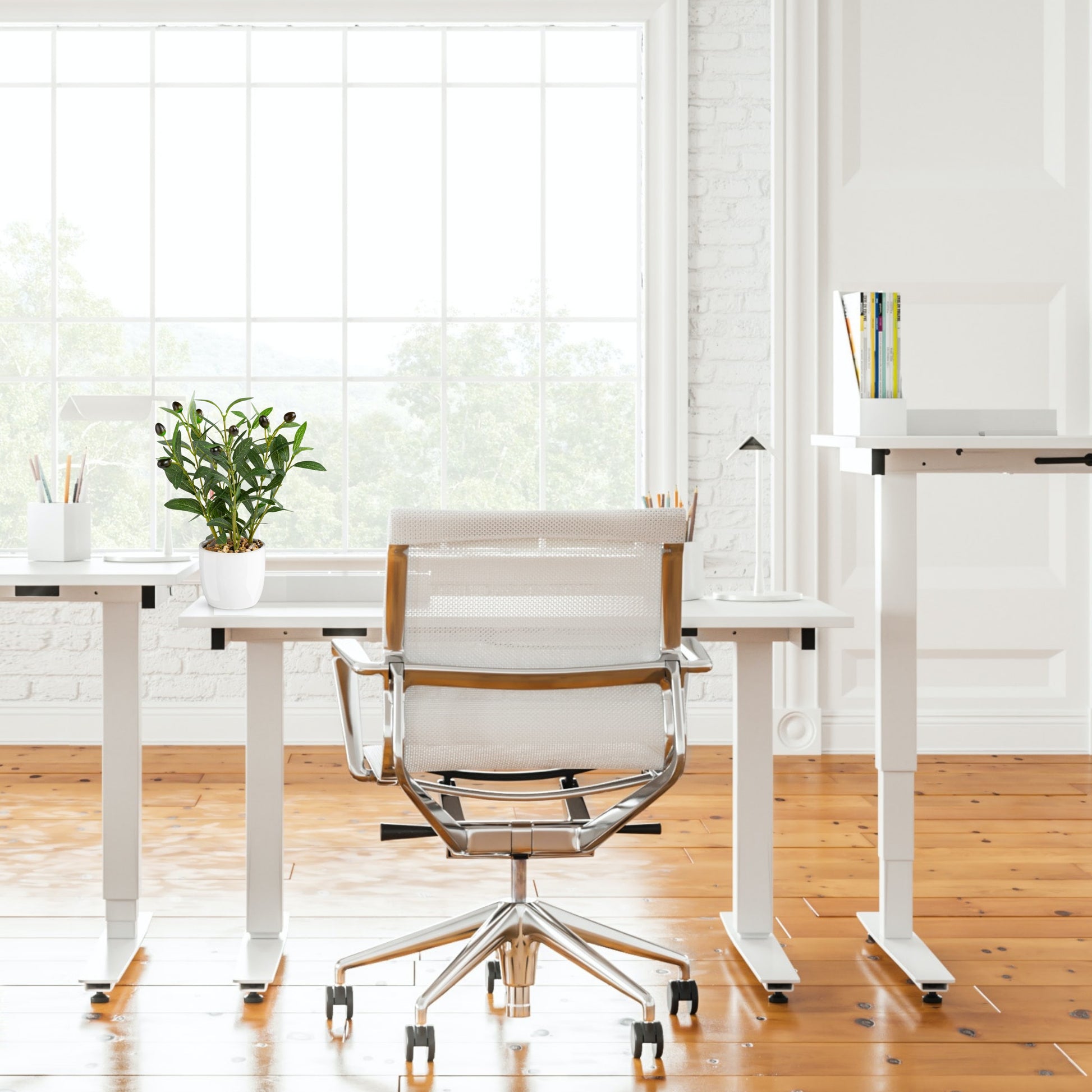 Mini Olivenbaum in hochwertigem Keramiktopf für Zuhause und Büro