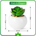 Dekorative Mini-Sukkulenten in glänzenden Keramiktöpfen im Wohnzimmer