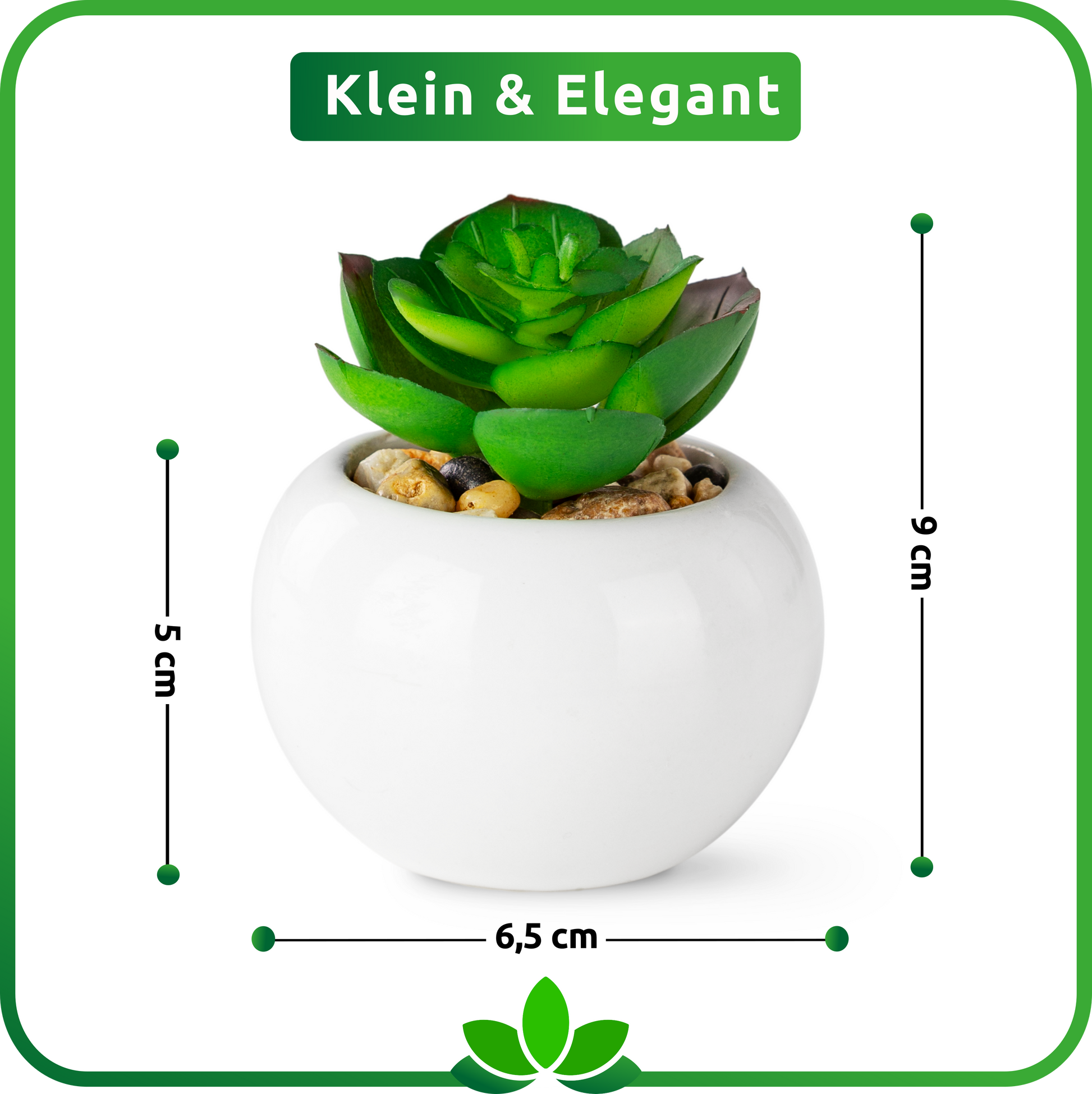 Dekorative Mini-Sukkulenten in glänzenden Keramiktöpfen im Wohnzimmer