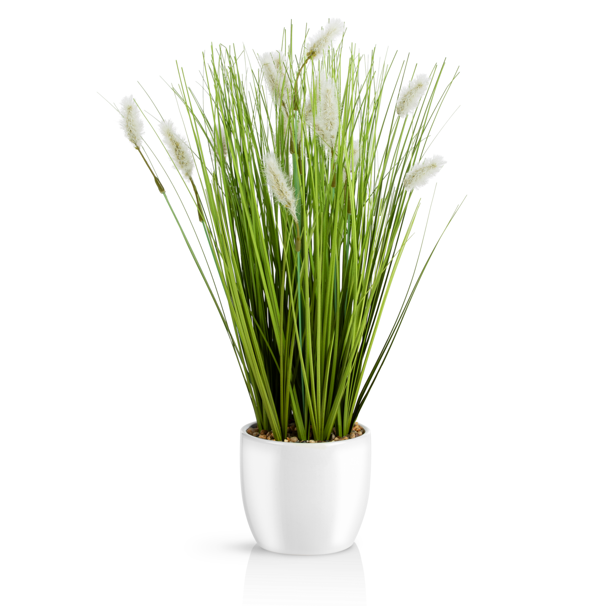 Fuchsschwanzgras in elegantem weißen Keramiktopf, 42 cm hoch.