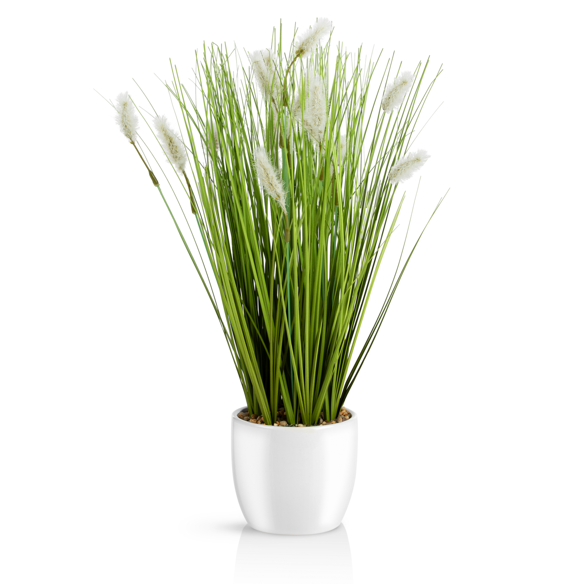 Fuchsschwanzgras in elegantem weißen Keramiktopf, 42 cm hoch.