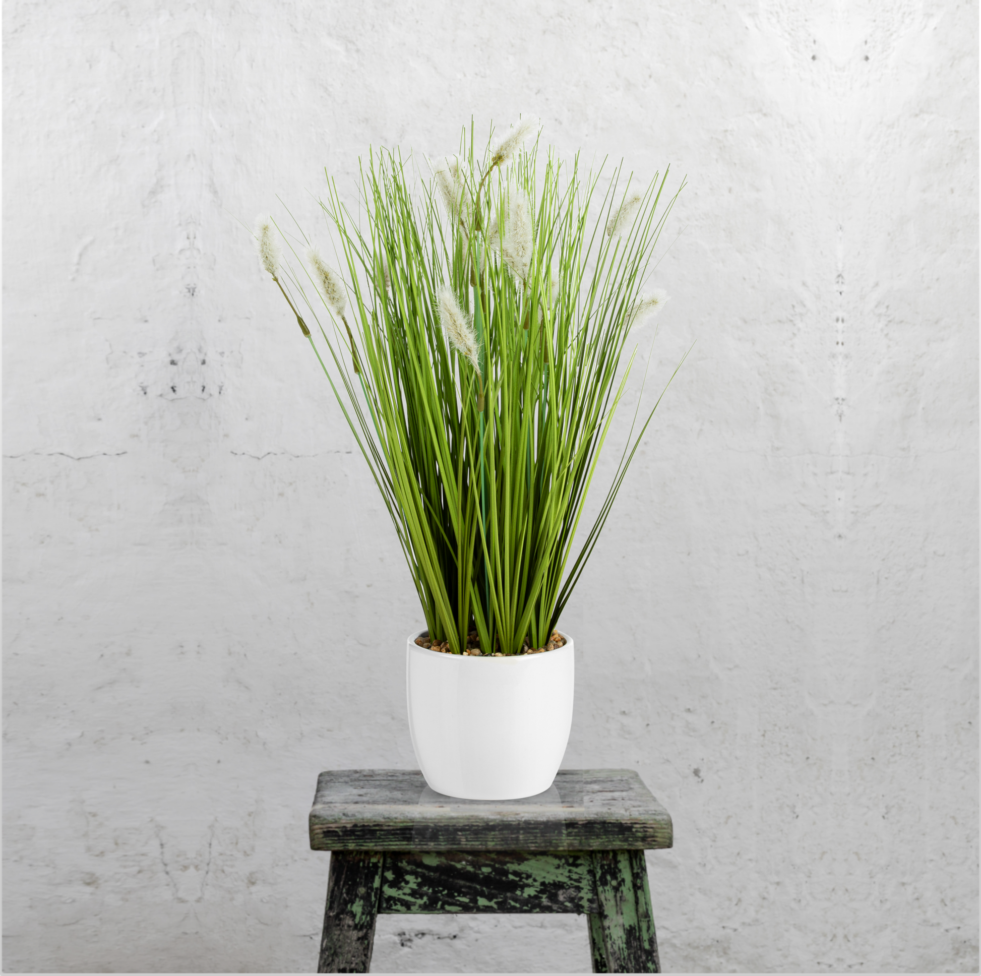 Stilvolles Arrangement aus Fuchsschwanzgras im Keramiktopf, 42 cm.