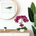 Elegante Deko-Orchidee im Topf – ideal für Bad, Büro oder Wohnzimmer