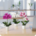 Nahaufnahme künstlicher Orchideenblüten in edlen Keramiktöpfen