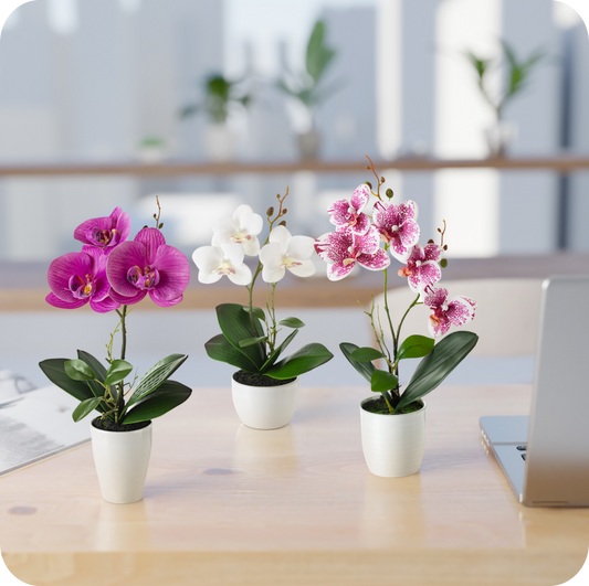 Nahaufnahme künstlicher Orchideenblüten in edlen Keramiktöpfen