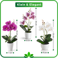 Elegantes Orchideen-Set in Keramik, filigrane Blüten in Roséweiß