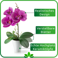 Elegantes Orchideen-Set in Keramik, filigrane Blüten in Roséweiß