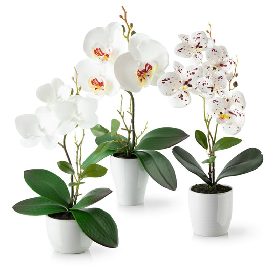 Künstliche weiße Orchideen in drei weißen Keramiktöpfen, 35 cm hoch