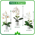 Kunstvolle Orchideen in Keramiktöpfen als dekorativer Farbakzent im Raum