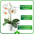 Drei weiße Orchideenpflanzen in minimalistischen Keramiktöpfen nebeneinander