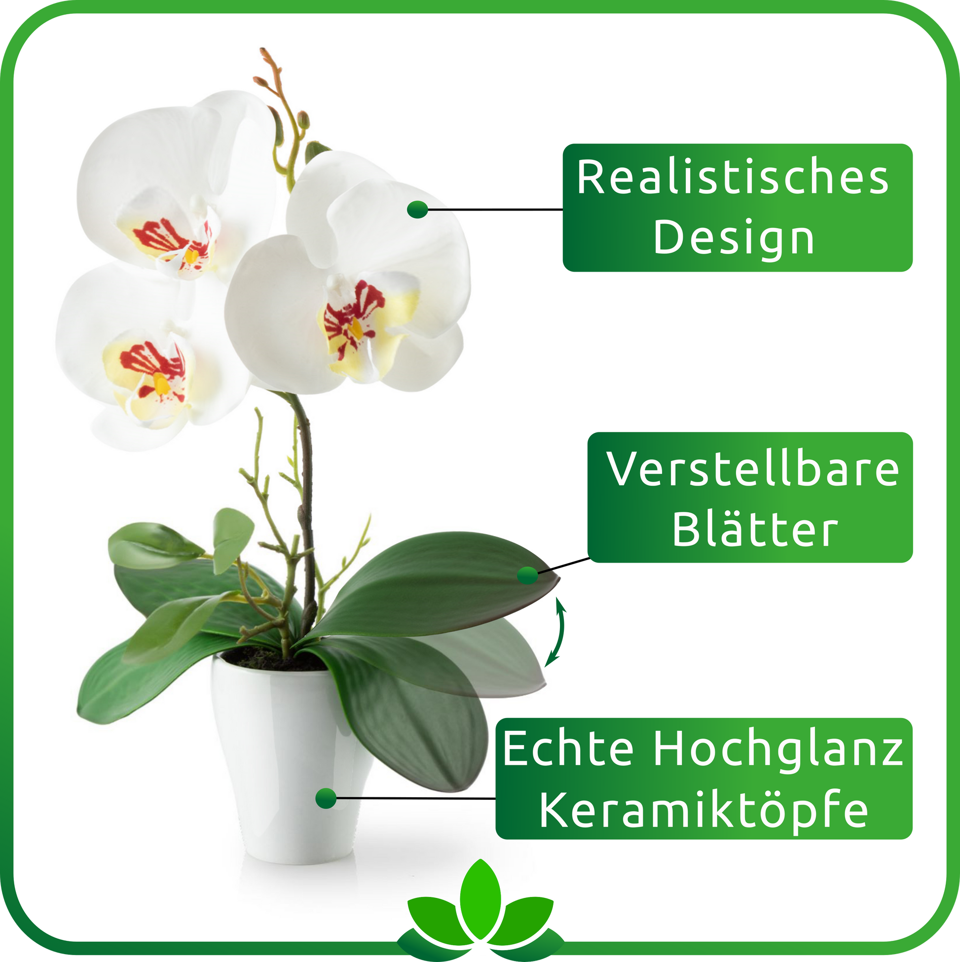 Drei weiße Orchideenpflanzen in minimalistischen Keramiktöpfen nebeneinander