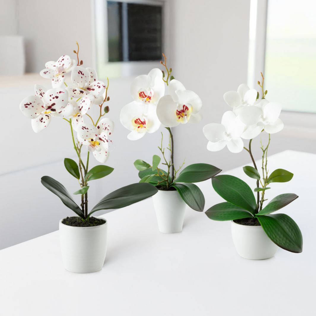 PASCH ARTIFICIAL PLANTS