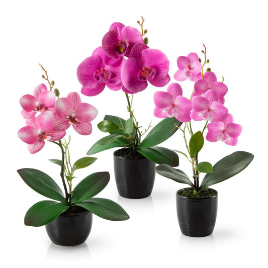 Künstliche roséfarbene Orchideen in weißen Keramiktöpfen, 3er Set