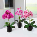 Drei künstliche Orchideen in eleganten Keramiktöpfen nebeneinander arrangiert