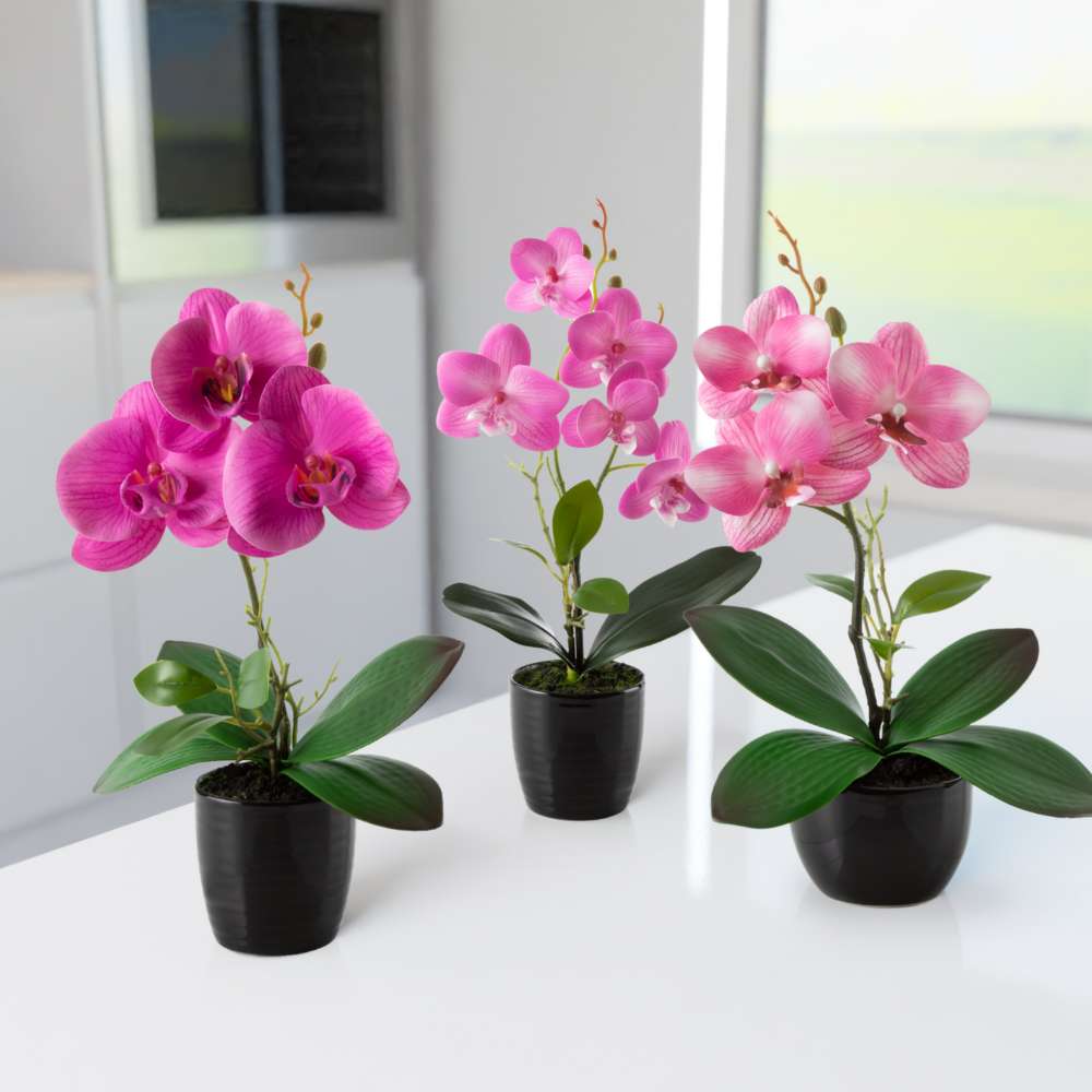 Drei künstliche Orchideen in eleganten Keramiktöpfen nebeneinander arrangiert