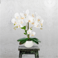 Weiße künstliche Orchidee in glänzendem Keramiktopf auf Holzregal