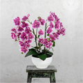 Stilvolle Wohnraumdeko mit künstlicher Orchidee im hochwertigen Keramiktopf