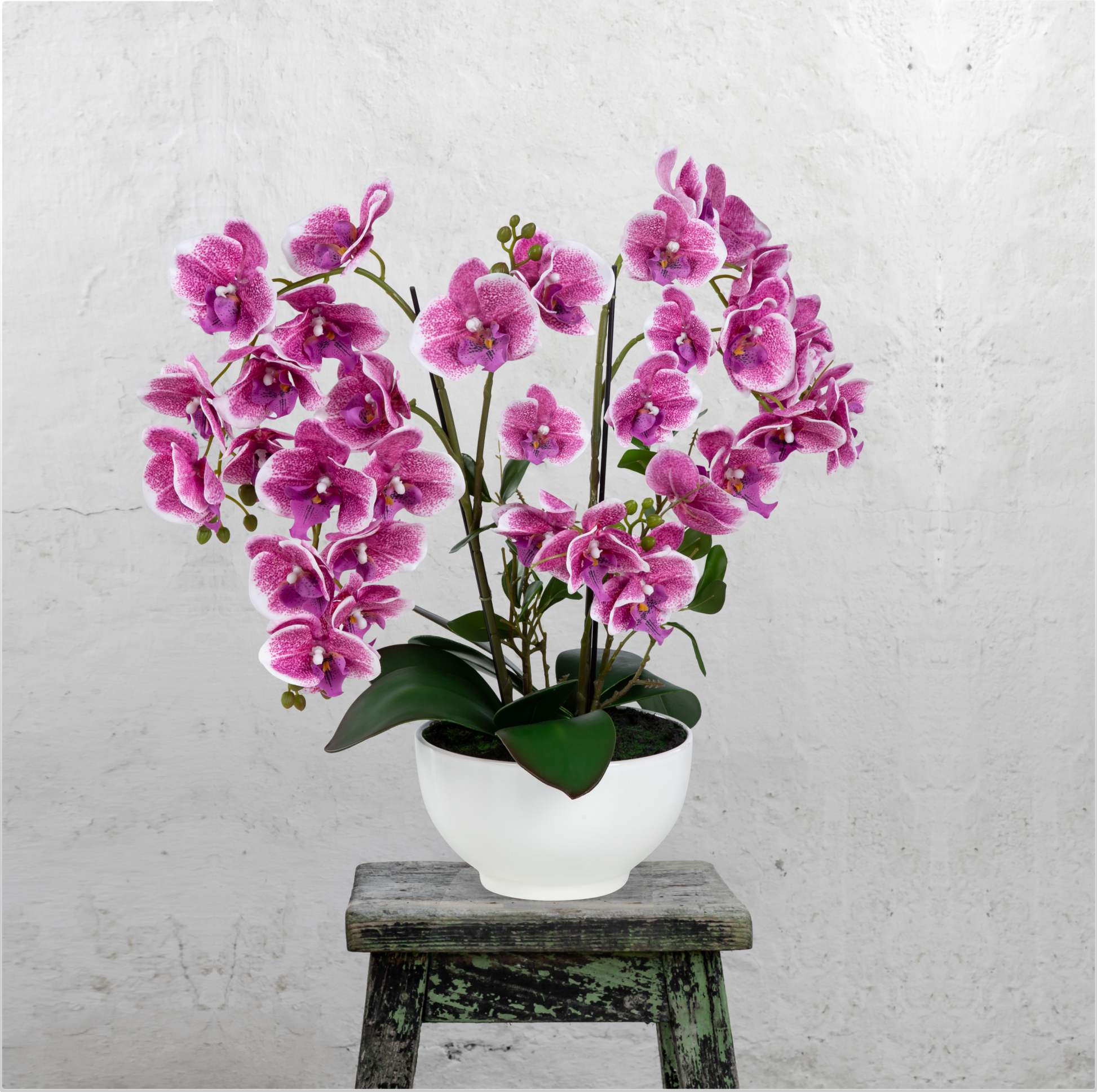 Stilvolle Wohnraumdeko mit künstlicher Orchidee im hochwertigen Keramiktopf