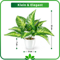 Detailaufnahme der fächerartigen Blätter der Areca-Palme im Keramiktopf