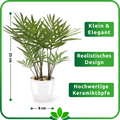 Elegante Areca Kunstpflanze als pflegeleichte Wohnraumdeko