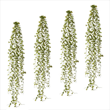 Vier künstliche Mühlenbeckia-Hänger in grün, je 71 cm lang, mit dichtem, naturgetreuem Blattwerk.