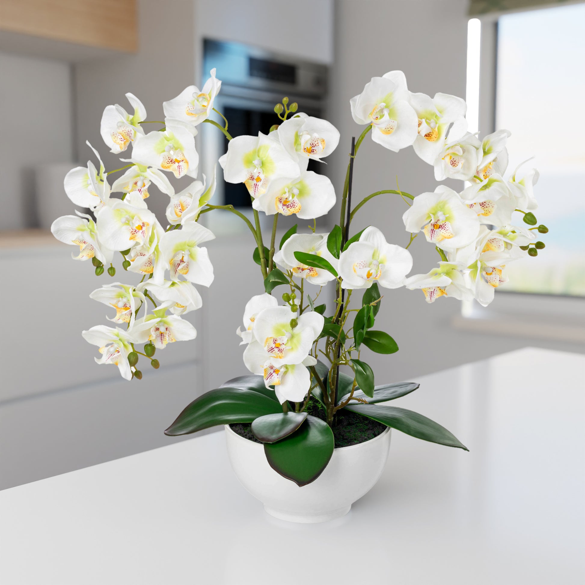 Nahaufnahme des hochwertigen weißen Keramiktopfs mit Blume
