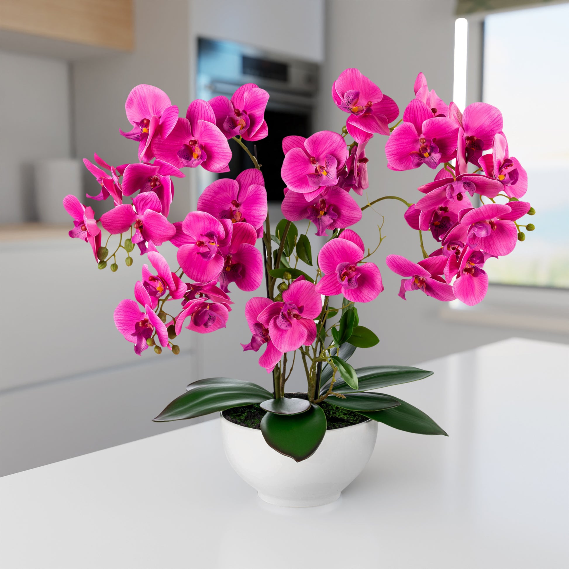 Künstliche Orchidee als Fensterbrett-Deko mit Tageslicht