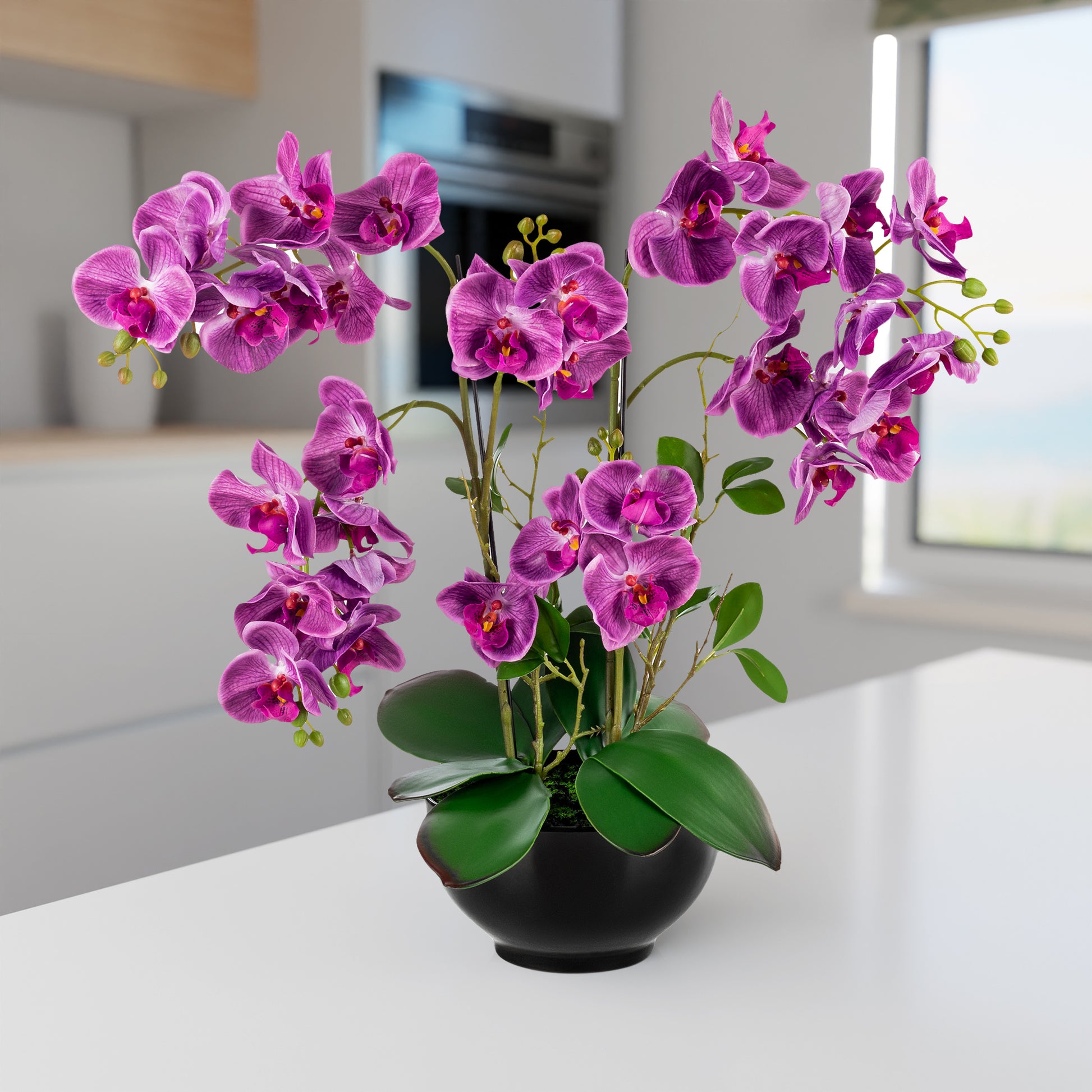 Schwarzer Keramiktopf mit eleganter XXL Orchidee auf weißem Hintergrund