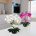 Künstliche Orchideen in Keramiktöpfen (2 Stück, 40cm) - Weiß-Rosé (schwarze Töpfe)