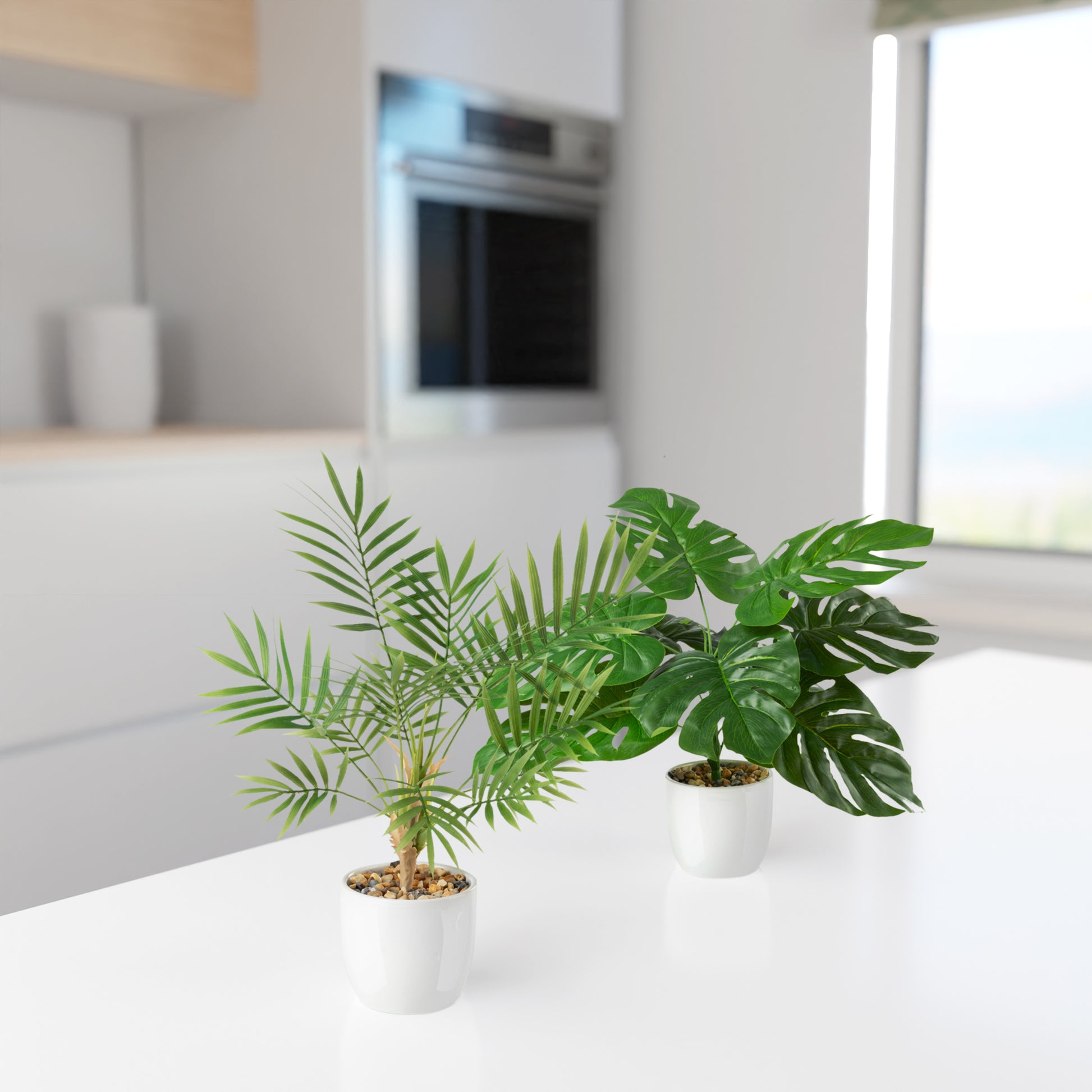 Detailaufnahme der Areca-Palmenblätter mit fächerartiger Struktur