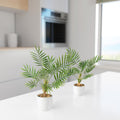 Set aus zwei künstlichen Areca-Palmen in glänzenden Keramiktöpfen