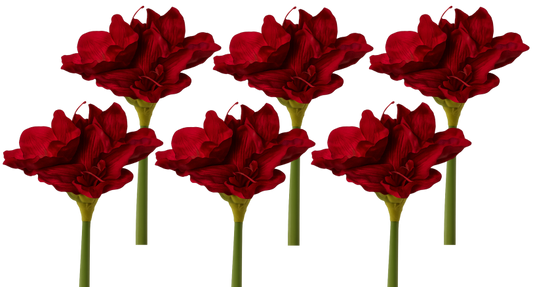 Freigestellte künstliche Amaryllisblume in tiefem Rot mit grünem Stiel – realistische Kunstblume für Dekoration und Floristik.