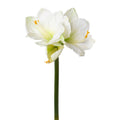 Weiße künstliche Amaryllis mit realistischem Stiel und zarten Blütenblättern – elegante Winterblume für stilvolle Dekorationen.
