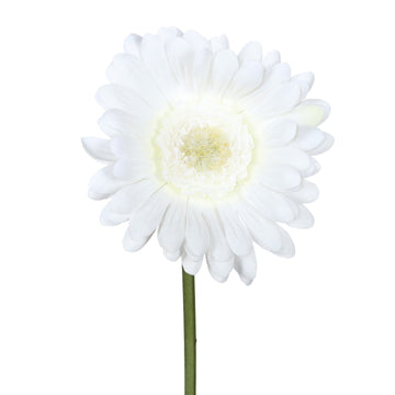 Künstliche weiße Gerbera auf Stiel – naturgetreue Kunstblume für elegante Dekorationen.
