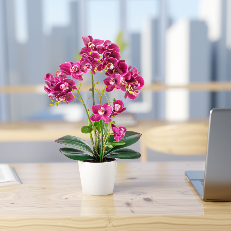 Orchidee in weißem Topf auf einem Schreibtisch im modernen Büro