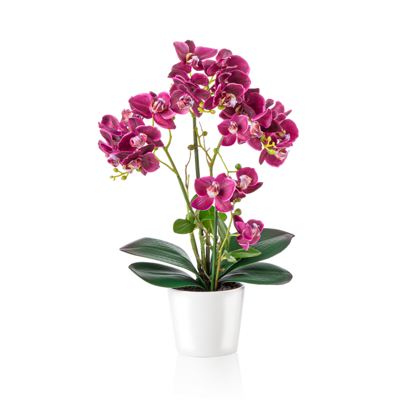 Künstliche Orchidee in Weißtopf, freigestellt auf weißem Hintergrund