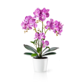 Künstliche Orchidee rosa mit Blüten im weißen Blumentopf – täuschend echt
