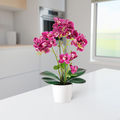 Realistische Kunst-Orchidee in heller Küche mit Tageslicht