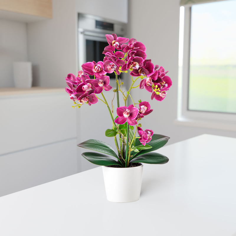 Realistische Kunst-Orchidee in heller Küche mit Tageslicht