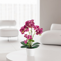 Deko-Orchidee auf Couchtisch in minimalistischer Einrichtung