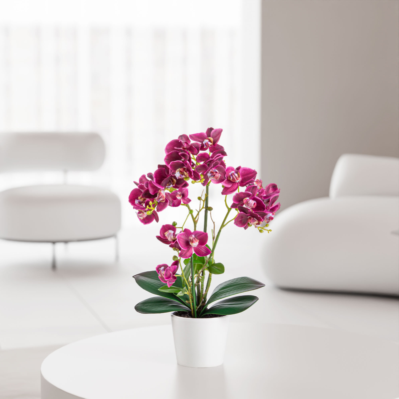 Deko-Orchidee auf Couchtisch in minimalistischer Einrichtung