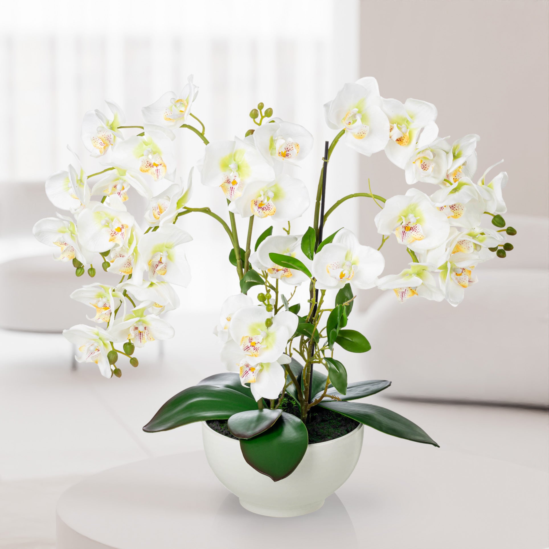 Orchidee künstlich – Kombination aus realistischer Blüte und edlem Topf