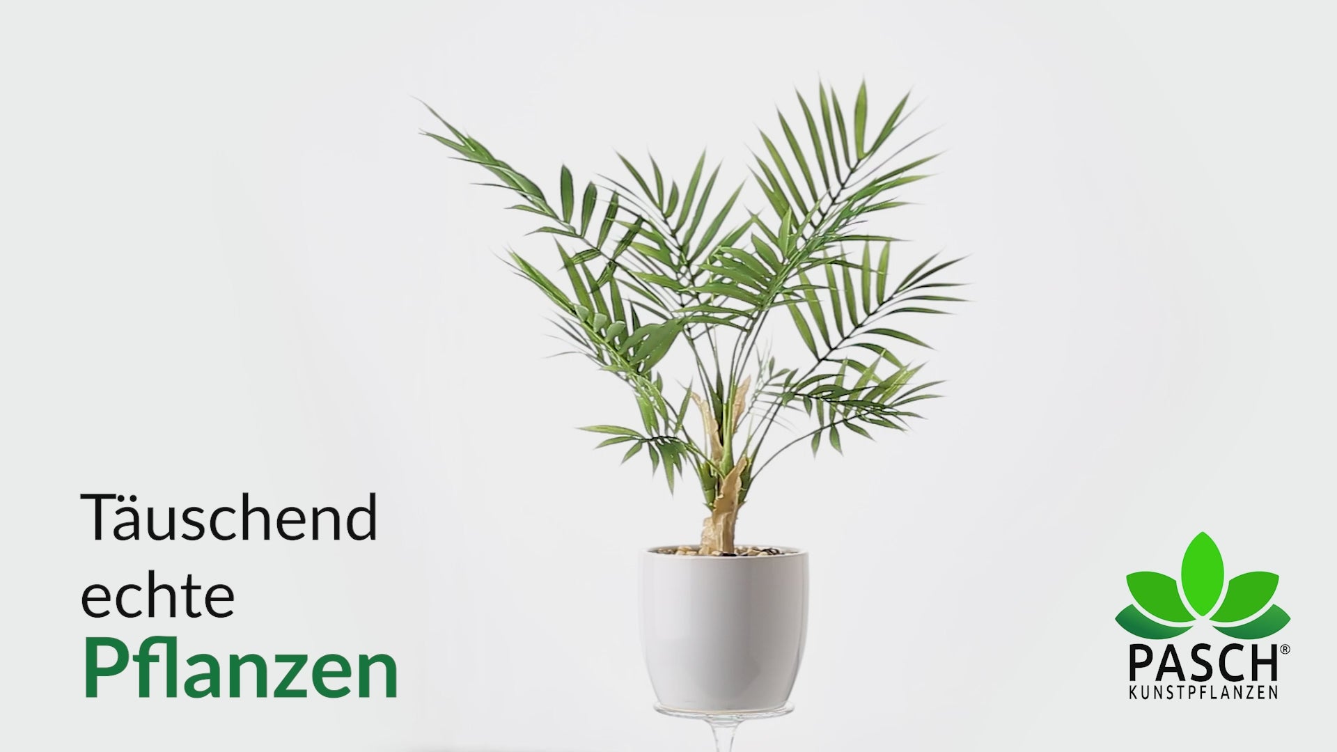 Moderner exotischer Akzent durch Monstera Kunstpflanze im Wohnraum