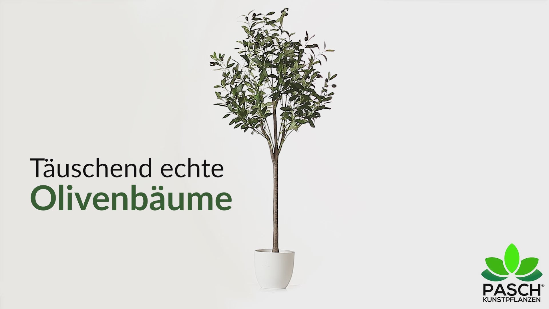 Kunstpflanze Olivenbaum in elegantem Topf auf heller Terrasse.