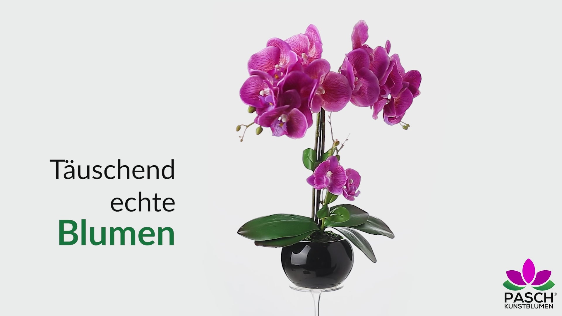 Weiße künstliche Orchidee in glänzendem Keramiktopf auf Holzregal