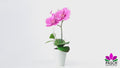 Orchideenarrangement in Lila-Rosé auf einem Holztisch im Tageslicht