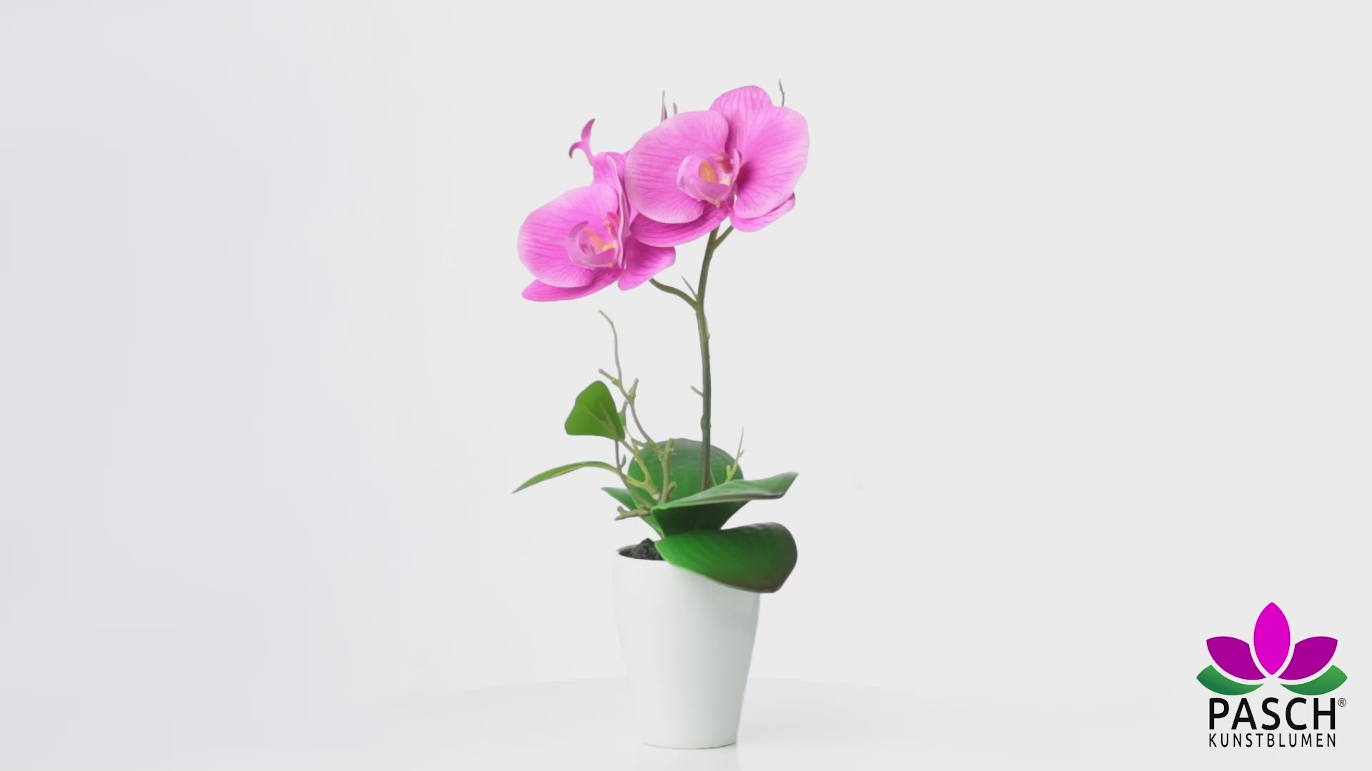 Orchideenarrangement in Lila-Rosé auf einem Holztisch im Tageslicht