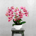 Künstliche Orchidee in Keramiktopf als Blickfang auf Schreibtisch