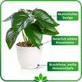 Dekorative Monstera-Kunstpflanze als stilvolles Wohnaccessoire