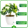 Mini Monstera Kunstpflanze als Schreibtischdekoration im modernen Büro